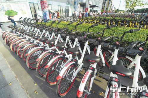 昨日下午，在開福區(qū)萬達廣場，成片的共享單車停放在廣場前坪。 長沙晚報記者 黃啟晴 攝