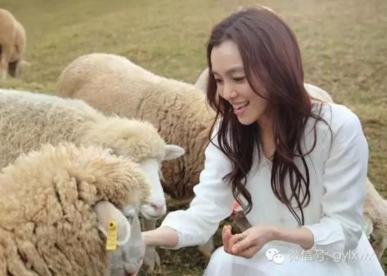 明星旅行糗事一籮筐 總有一個(gè)萌到你！