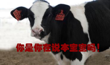 關(guān)我什么事！