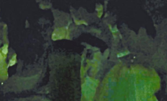 房祖名去年被港媒直擊在中環(huán)夜店與長發(fā)妞互動曖昧，女生正是Nana