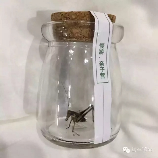 看看我的成果吧！