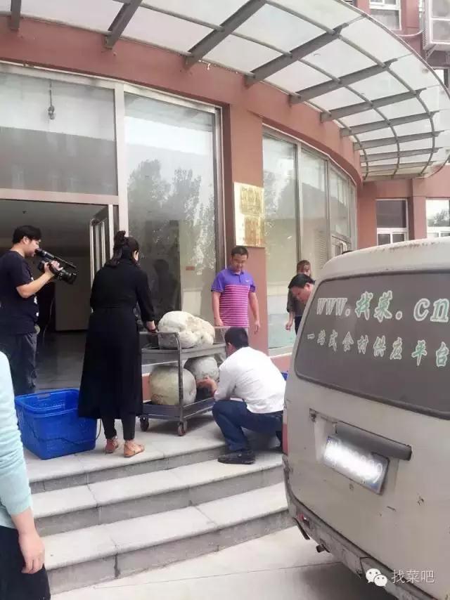 找菜網(wǎng)認(rèn)購(gòu)百萬(wàn)斤冬瓜，解農(nóng)戶燃眉之急