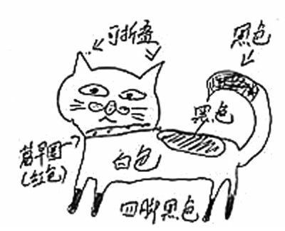 愛貓失蹤沒“留影”主人手繪尋貓圖網(wǎng)友贊太有才 愛貓失蹤沒“留影”主人手繪尋貓圖網(wǎng)友贊太有才