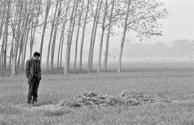 11月21日，高松中站在腦癱雙胞胎兒子墳前。