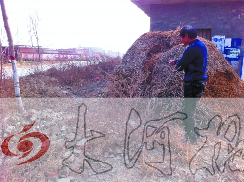 張哥、張弟就是在這兒撿到的投毒面包。