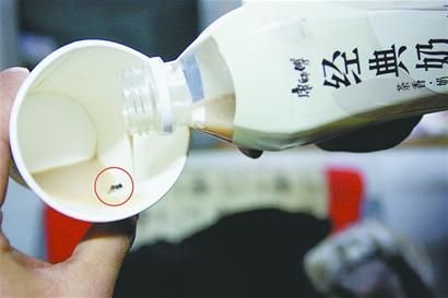 田先生喝的經(jīng)典奶茶中有一只蒼蠅。