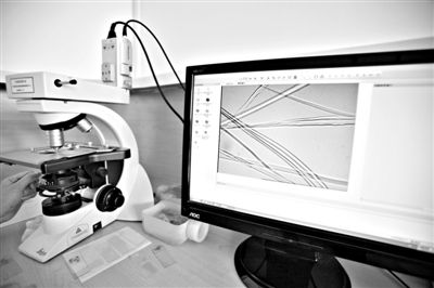 顯微鏡下，蠶絲呈現(xiàn)出表面有光澤，形狀不規(guī)則，粗細(xì)不均。