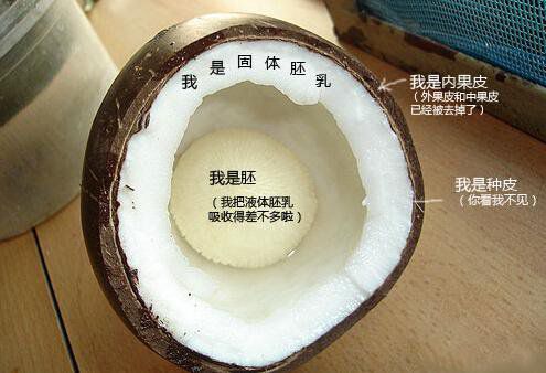 你在甜品店常吃的東西，到底都是啥？