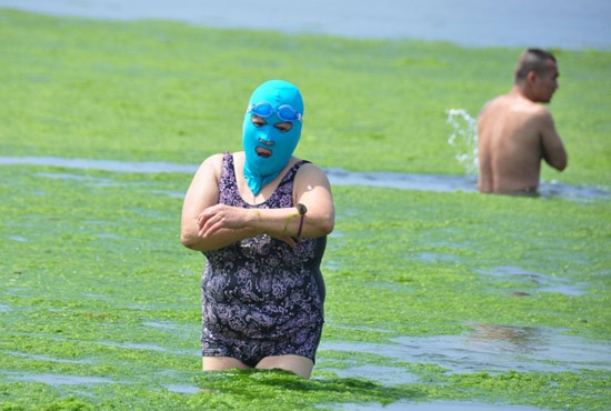 2013年7月3日，山東青島青島高溫來襲，“青島大媽”不懼滸苔，戴著“強盜面具”出現在海水浴場消暑降