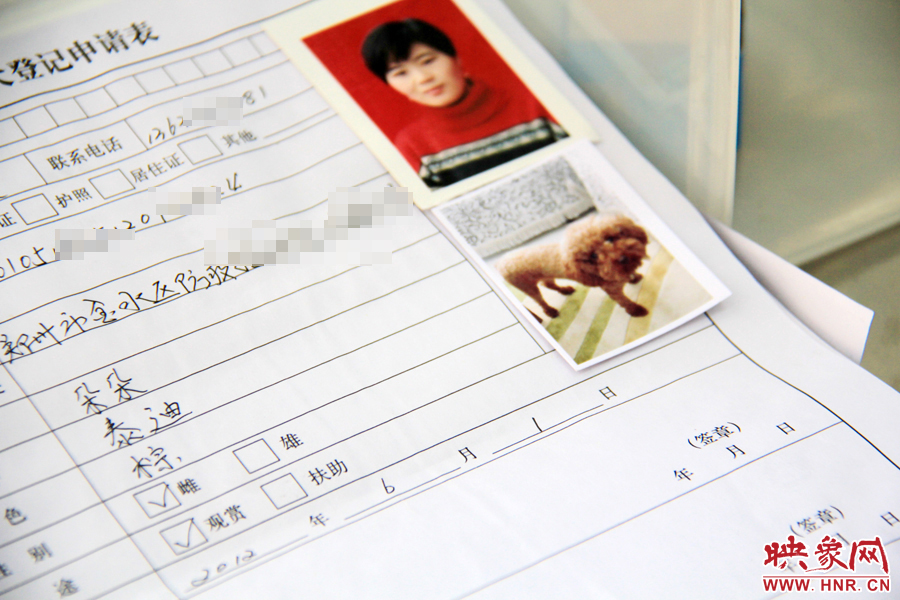 辦理狗證，需要填寫申請表