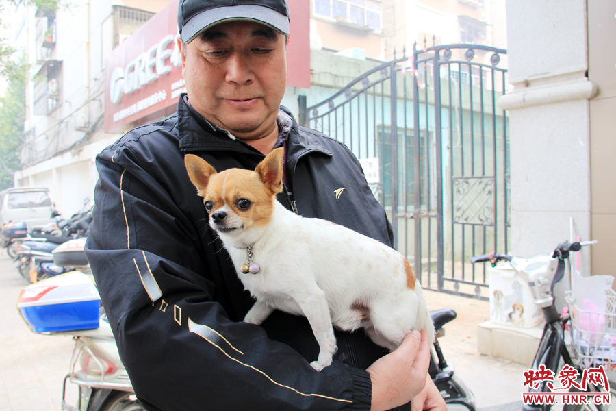 在市民眼里，小狗狗都是他們的小寶貝