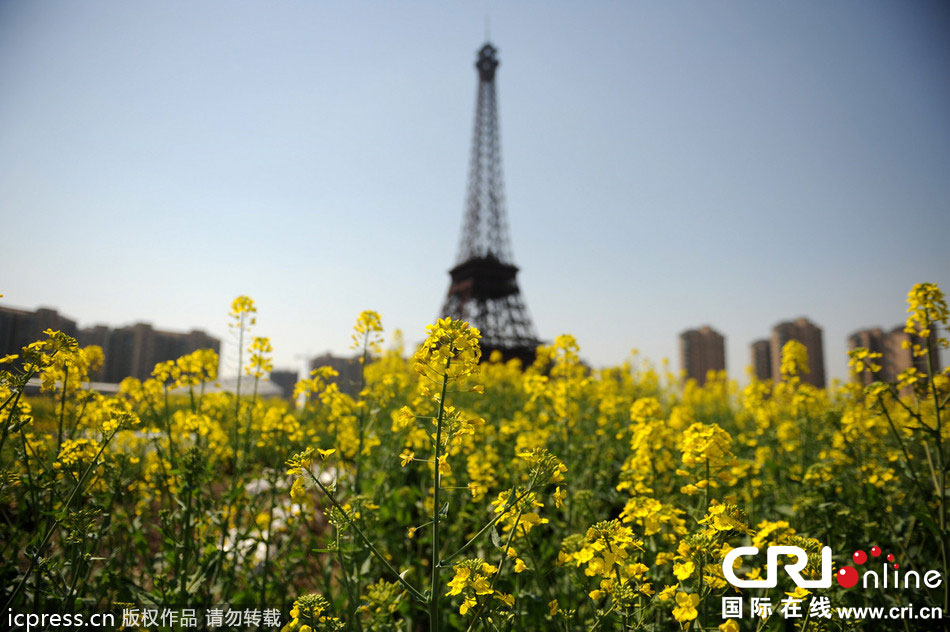 　2014年3月21日，杭州天都城，農(nóng)民在山寨埃菲爾鐵塔下耕作。圖片來源：東方IC