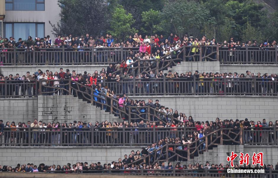 重慶上萬粉絲在南濱路等待《奔跑吧兄弟》節(jié)目的錄制。
