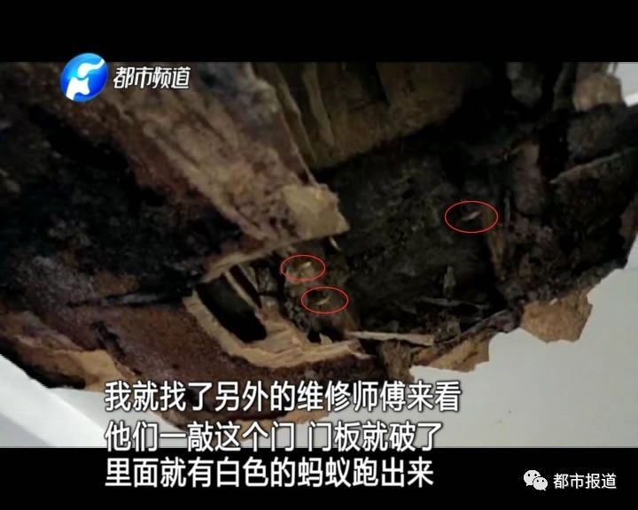 蟻?zhàn)宕筌娙肭?！十幾萬裝修的新家被“吃掉”