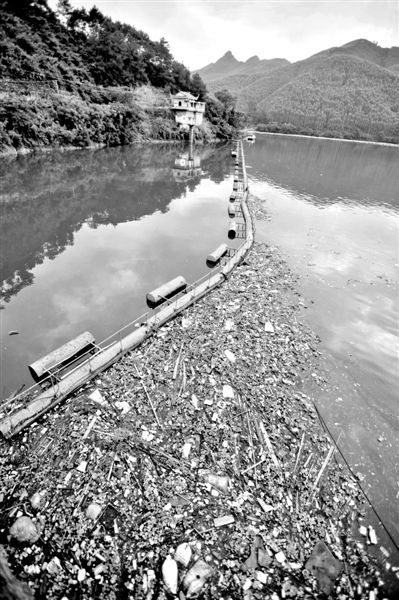 7月7日，廣西賀州市賀江合面獅段被污染的水域。據(jù)新華社