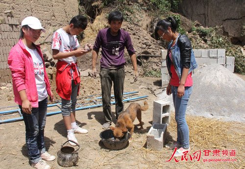 渴壞了的小黃狗在喝水。王生元/攝