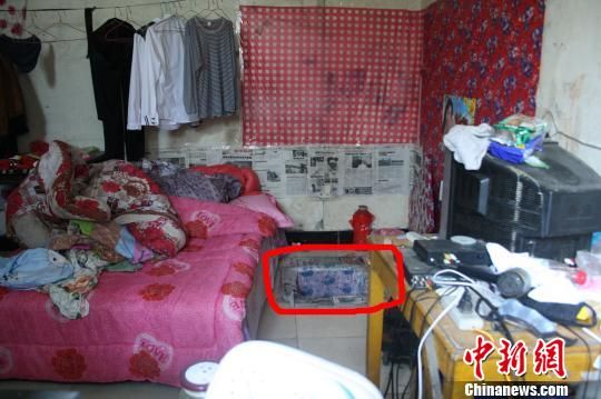 圖上紅圈內(nèi)為嫌犯所挖地窖入口。 吳佳蔚 攝