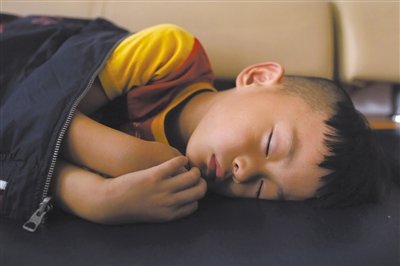 9月6日，等待錄制節(jié)目的多多躺在沙發(fā)上熟睡。新京報記者 侯少卿 攝