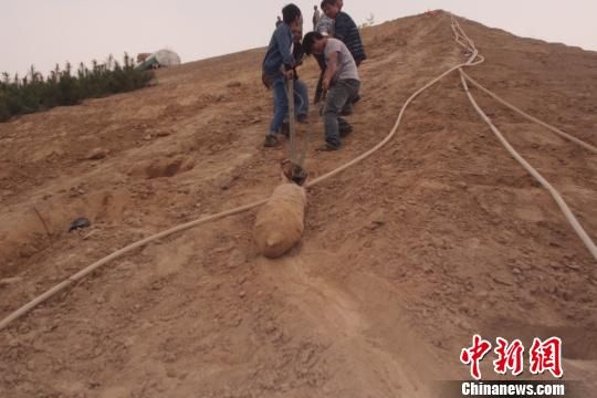 　4月27日上午，當(dāng)?shù)卮迕裨诠系販洗逡痪G化處挖出一枚長(zhǎng)1米，重200斤的炸彈，5月10日，這枚炸彈已