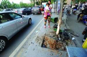 幸虧轎車撞到香樟樹上停了下來,否則后果更嚴重。