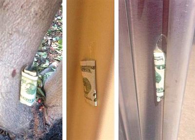 “隱藏的鈔票”會(huì)被神秘人藏在公園、廁所等“奇怪的地方”。