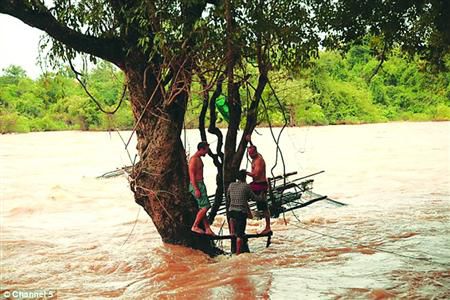蓋屋、種菜，“從沒這樣快樂”