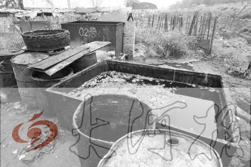 　　骯臟、令人作嘔的油桶凌亂地擺放在院子里，為了避免視覺刺激，我們把它做成了黑白圖片。