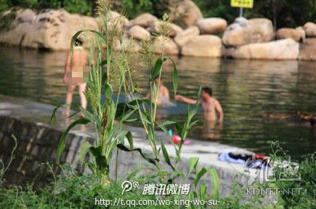 網(wǎng)友曝光的現(xiàn)場圖片。（圖片來自網(wǎng)絡）