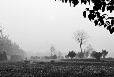 3月26日上午8點,鄭大新校區(qū),濃濃的霧霾埋沒了大好春景。