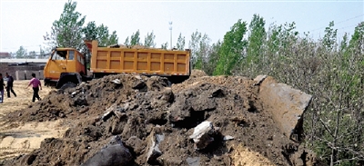 垃圾將生態(tài)涵養(yǎng)林給埋住了。