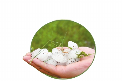 冰雹化了一些,還有這么大。