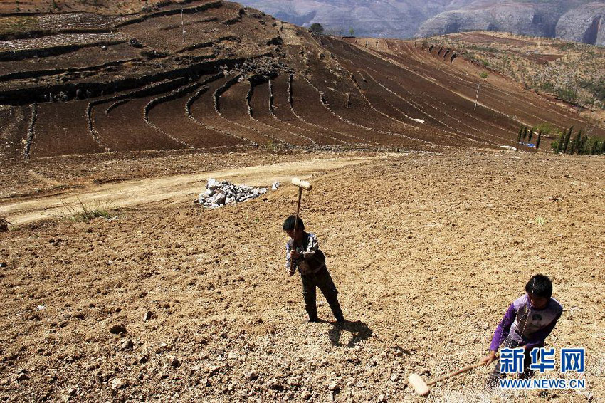 3月16日，在貴州省畢節(jié)市威寧縣斗古鄉(xiāng)中關村，兩個孩子幫助家人在干旱的土地上勞動。