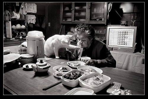 進食 祖母與貓的溫情世界 進食 祖母與貓的溫情世界