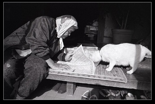 報紙 祖母與貓的溫情世界 報紙 祖母與貓的溫情世界