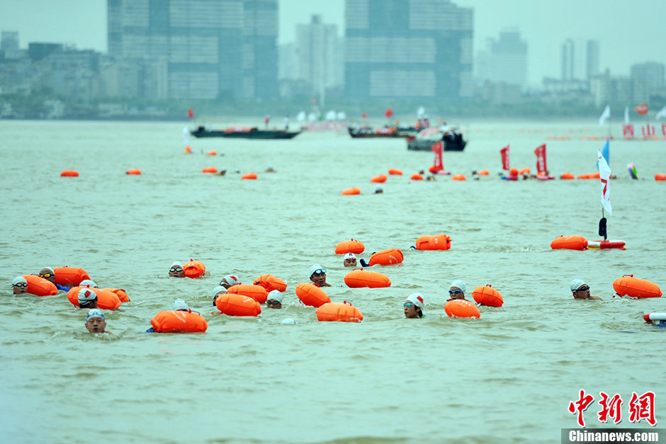 圖為江面上的橫渡方隊里的選手們劈波斬浪。中新社發(fā) 張暢 攝