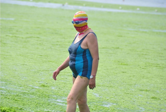 2013年7月3日，山東青島青島高溫來襲，“青島大媽”不懼滸苔，戴著“強(qiáng)盜面具”出現(xiàn)在海水浴場消暑降