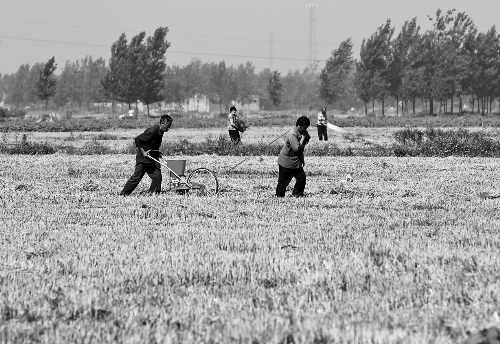 今后，農(nóng)民的土地承包經(jīng)營權(quán)將可以進行抵押融資。