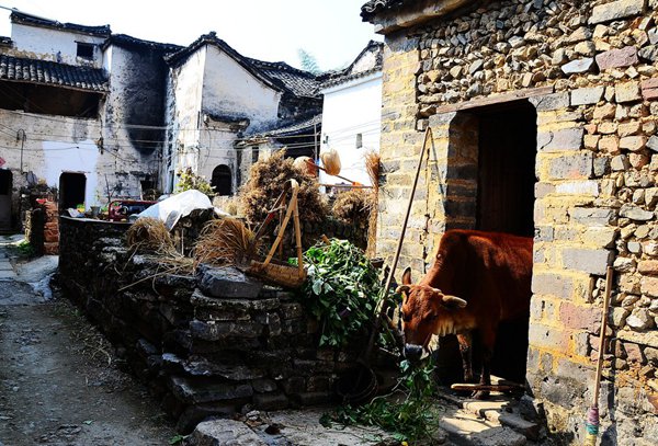 10大古村落，見證鶴壁舊時光