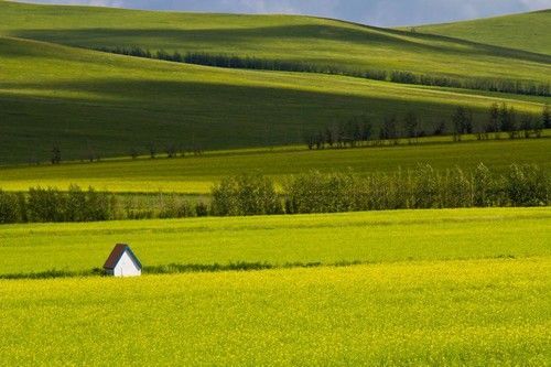 盤點(diǎn)全國13處絕美的油菜花觀賞地