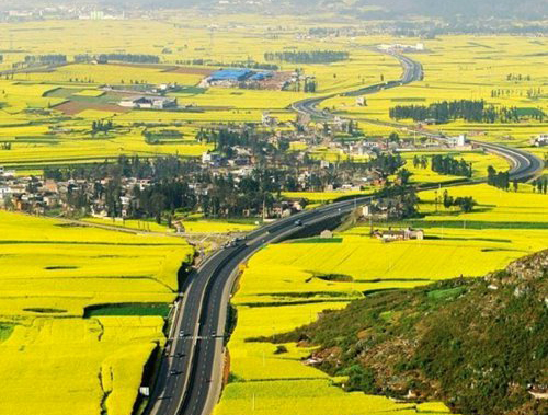 如何拍攝油菜花？達(dá)人教你7個(gè)拍攝技巧