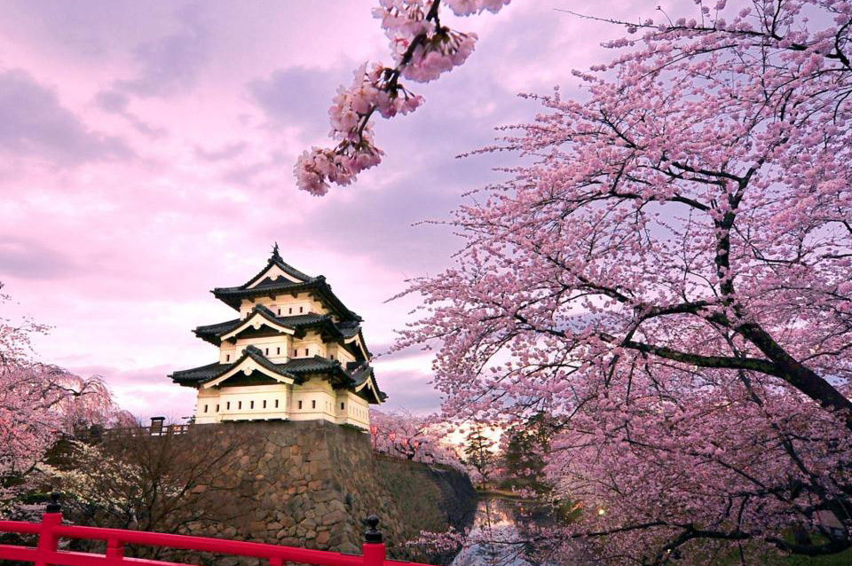 出行去哪兒不用愁 細數全球春季實惠旅行地