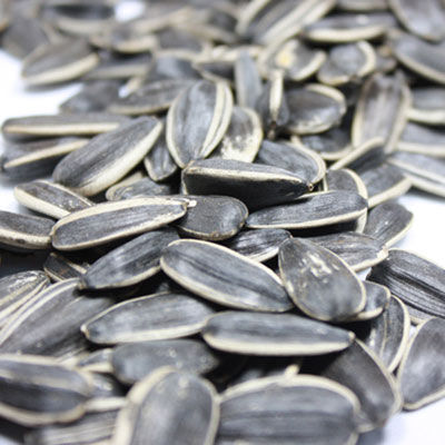 出國(guó)旅游海關(guān)檢查有講究 啥能帶啥不能帶？