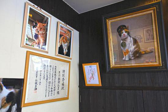 全球最萌車站 站長是只貓 全球最萌車站 站長是只貓