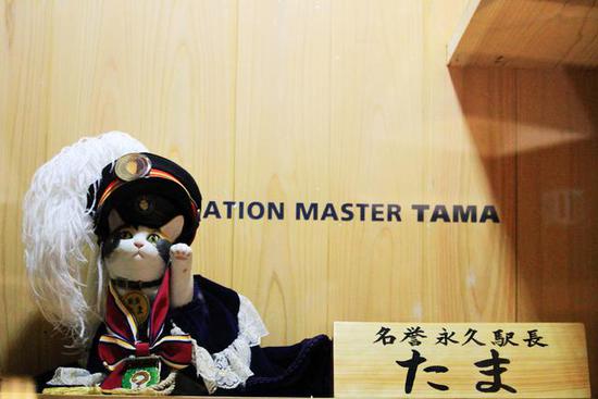 全球最萌車站 站長是只貓 全球最萌車站 站長是只貓