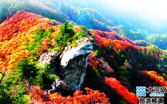 團(tuán)圓祈福獻(xiàn)孝心 父母免費(fèi)游堯山 團(tuán)圓祈福獻(xiàn)孝心 父母免費(fèi)游堯山