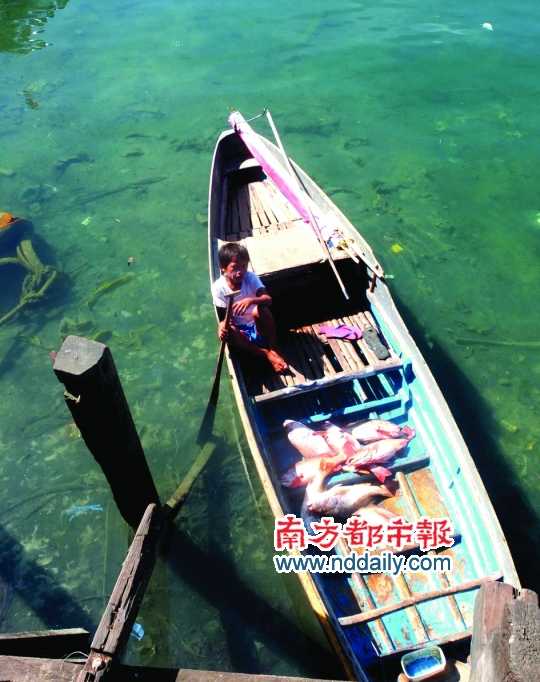 漁船上的孩子。