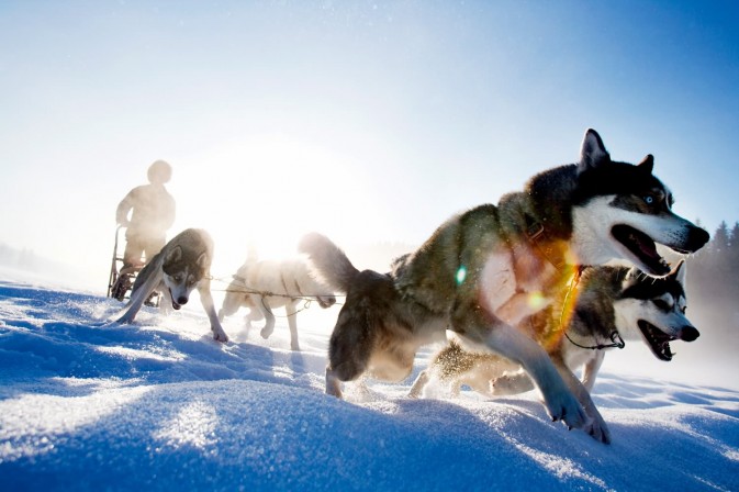 冬季貝加爾,適合享受冰上運(yùn)動(dòng),狗拉雪橇、雪上摩托車、雪地徒步等都是不錯(cuò)的選擇 F5.6,1/115秒
