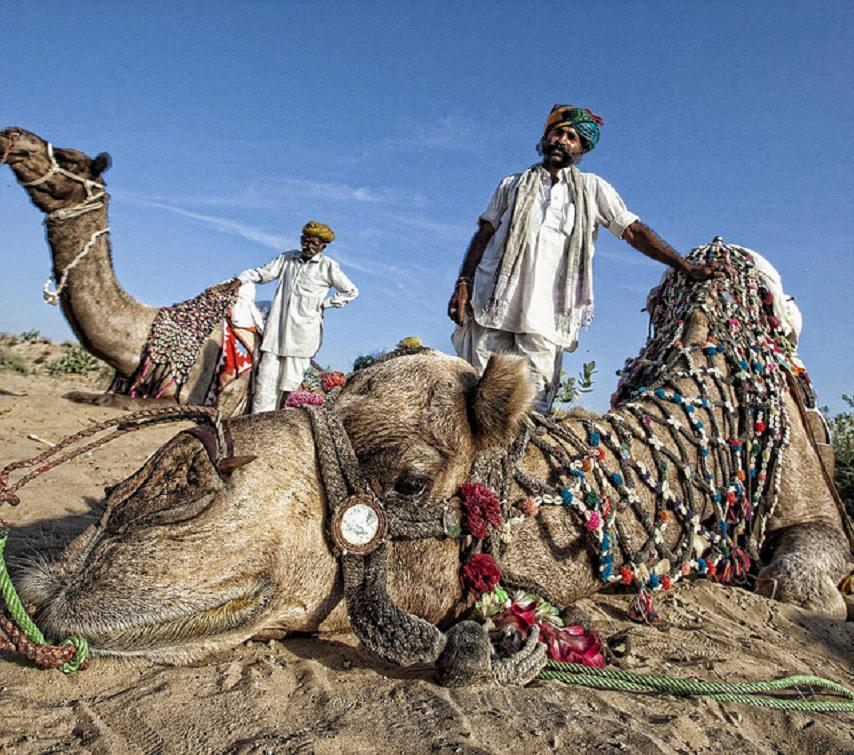 全家出國(guó)游去哪里？推薦十佳旅游勝地