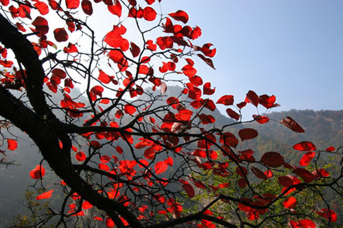 龍峪灣森林徒步中秋啟動 “混搭風(fēng)”引領(lǐng)金秋時尚