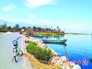 洱海的藍(lán)讓人沉醉。